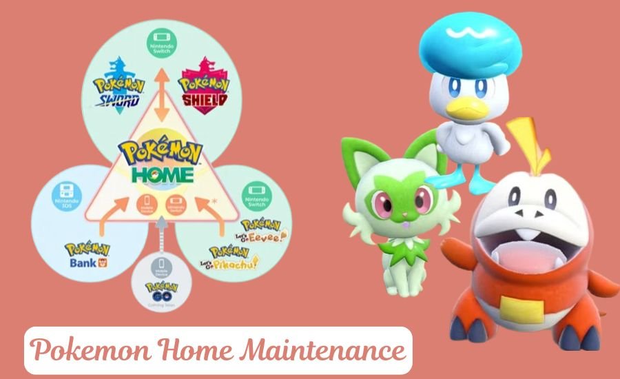 pokemon home maintenance